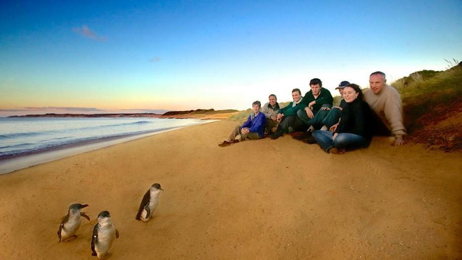 فيلا The Grampian Phillip Island كاوز المظهر الخارجي الصورة
