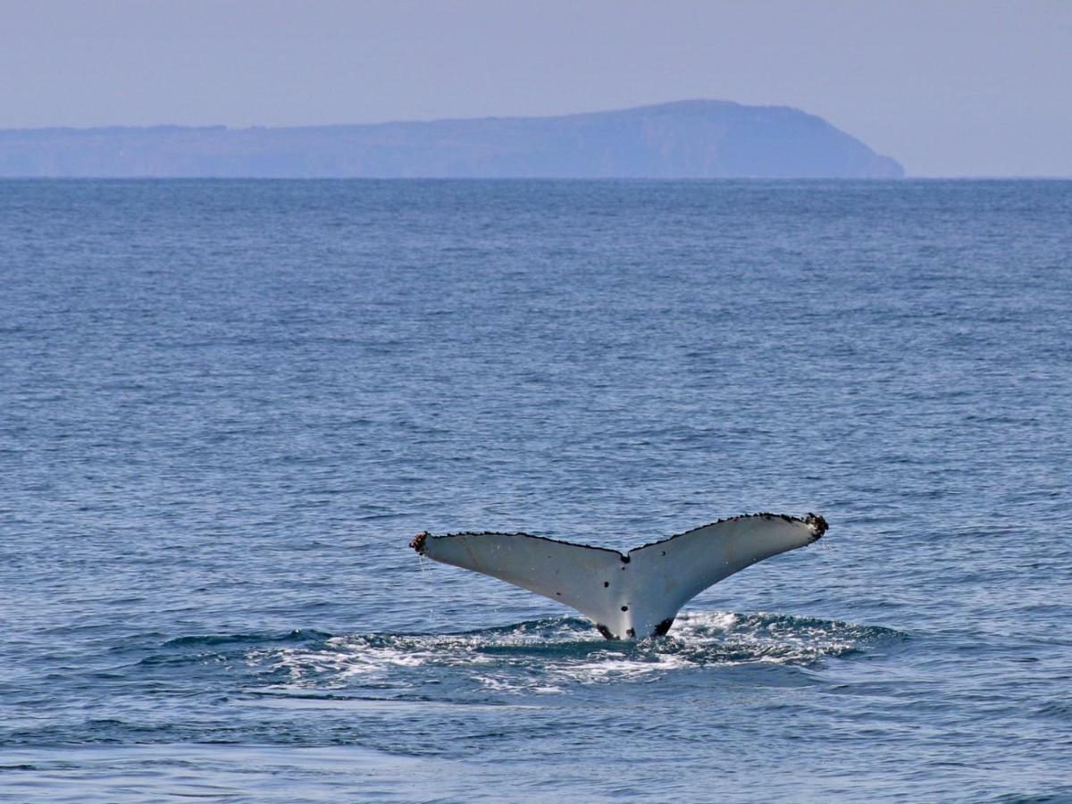 فيلا The Grampian Phillip Island كاوز المظهر الخارجي الصورة