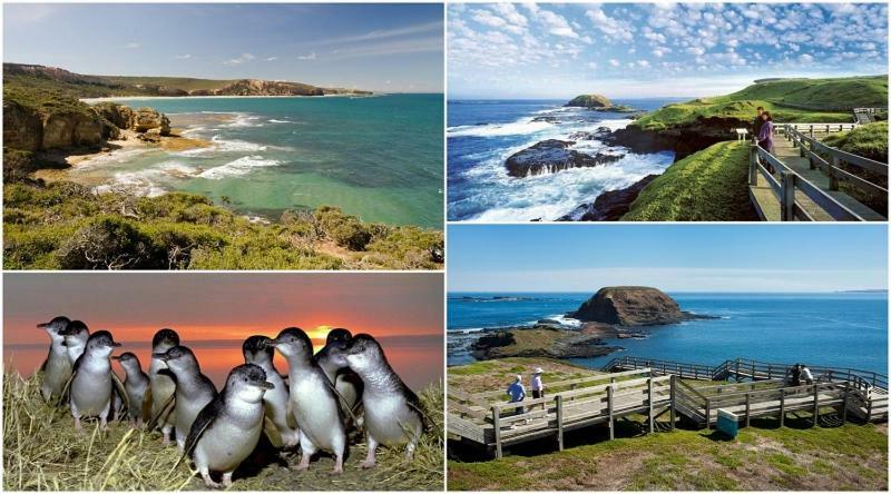 فيلا The Grampian Phillip Island كاوز المظهر الخارجي الصورة