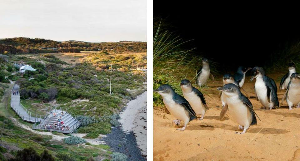 فيلا The Grampian Phillip Island كاوز المظهر الخارجي الصورة