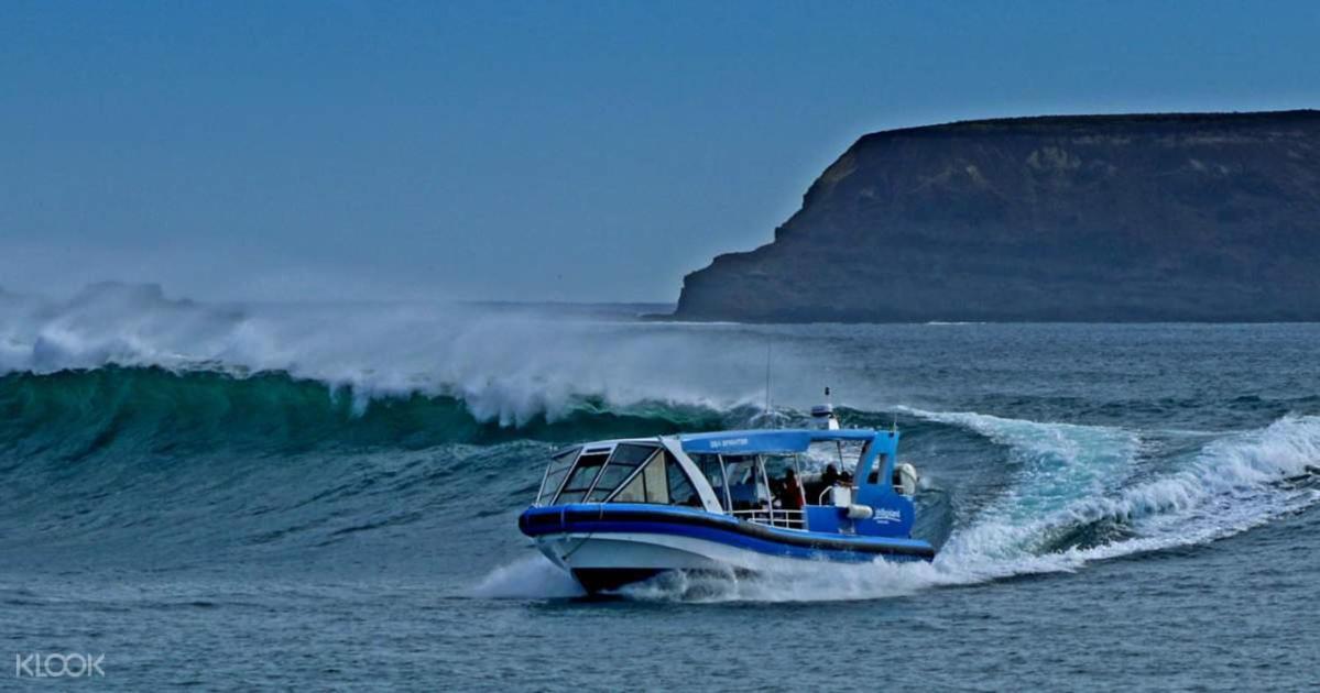 فيلا The Grampian Phillip Island كاوز المظهر الخارجي الصورة