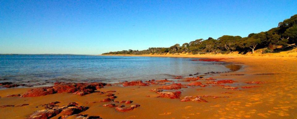 فيلا The Grampian Phillip Island كاوز المظهر الخارجي الصورة